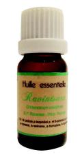 Huile essentielle de Ravintsara