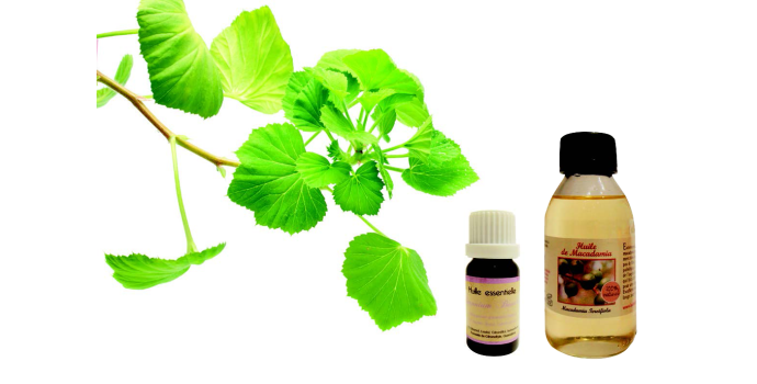 Huile Essentielle GERANIUM & Huile Végétale MACADAMIA