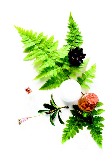 Nos huiles végétales